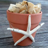 Beachy Candle Gift