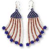 Happy 4th Earrings