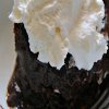 Chocolate Lava Cake with Fudge Topping