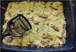 Halloween Party Kitty Litter Cake