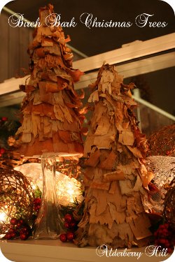 Forest Christmas Trees