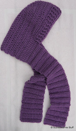Hooded  Day  hooded Kids Scarf AllFreeCrochet.com children's Blustery  scarf for pattern