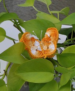 Papillon Crocheted Pin