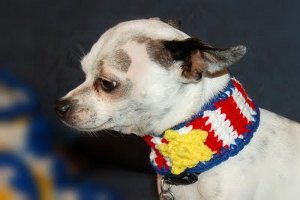 Patriotic Dog Collar