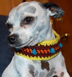 Retro Dog Collar AllFreeCrochet.com