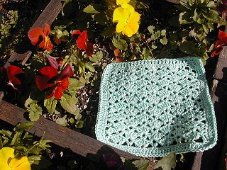Snapdragon Dishcloth