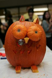 Adorable Carved Owl Pumpkin