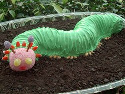 Cake Caterpillar