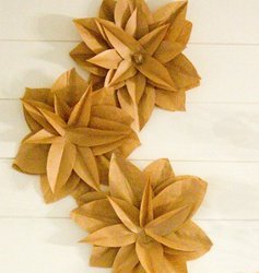 Brown Bag Flowers