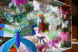 Butterflies in a Box