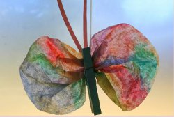 Coffee Filter Butterfly