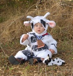 Cuddly Cow Costume