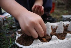 Egg Crate Garden Starters
