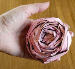 Fabulous Newspaper Roses