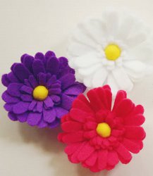 Felt So Good Daisies
