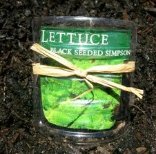 Garden Stakes from Recycled Bottles