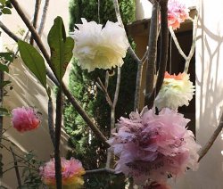 Plastic Bag Pom Pom Flowers