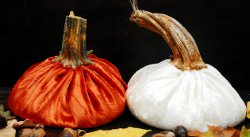 Slouchy Velvet Pumpkins