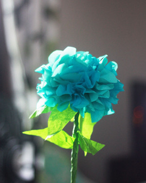 Happy Hydrangeas