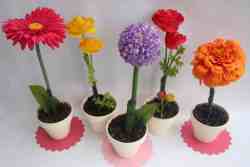 Flowers for Mother's Day