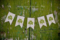 St. Patrick's Day Bookish Banner