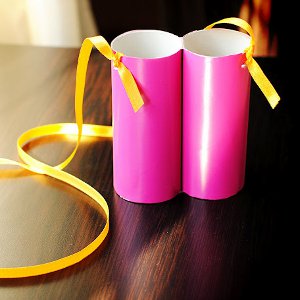Toilet Paper Roll Binoculars