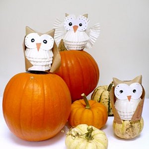 Toilet Tube Hooty Owls