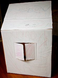 Cardboard Box Dollhouse