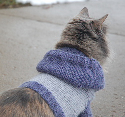 Knit Cat Hoodie
