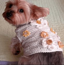 Basket of Daisies Dog Sweater
