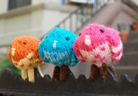 Tiny Perching Pigeons