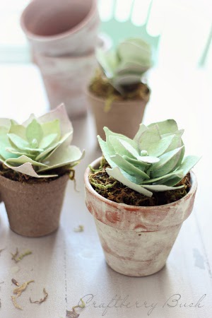  Perfect Paper Succulents 