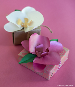 Radiant Paper Orchids 