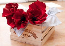 Red Poppies Flower Tutorial and Napkins
