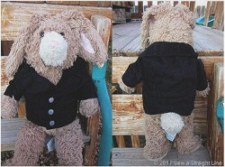Bunny Jacket