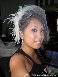 DIY - Birdcage Veil
