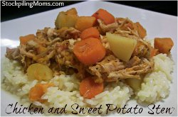 Freezer Cooking: Chicken and Sweet Potato Stew freezer chicken stew Winning Slow Cooker Meals: Comforting Slow Cooker Chicken Recipes