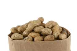 Slow Cooker Boiled Green Peanuts