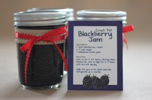 Three Ingredient Blackberry Jam