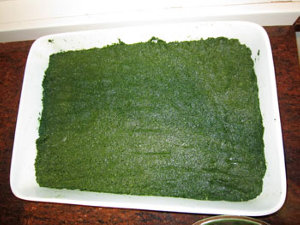 Spinach Bread