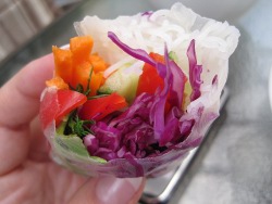 Summer Fresh Salad Rolls