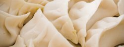 Vegetable Potstickers