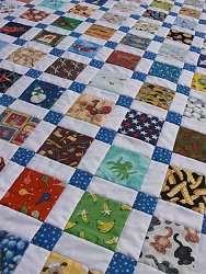 I Spy Disappearing Nine Patch