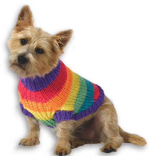 Rainbow Dog Sweater Knitting Pattern from Caron Yarn ...