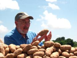 Idaho Potatoes