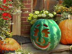 Jack-O'-Melon