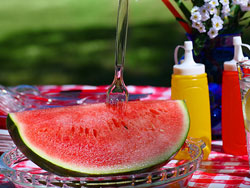 Tips for the Perfect Picnic