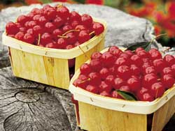 The Benefits of Red Food