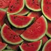 Watermelon Ice