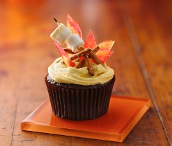 Campfire Cupcakes